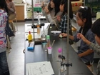 小学生化学実験教室
