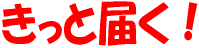 ̎ʐ^͕19NxKȂ̃V{ʐ^łI