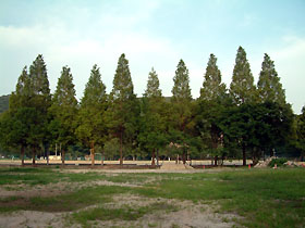 ^ZRCA̎