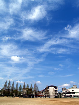 ̒̐VZ