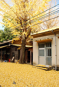 蕔ẽC`E