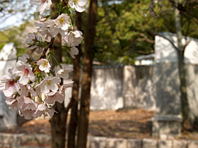 Zƍ