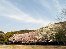 Zn쓌̍